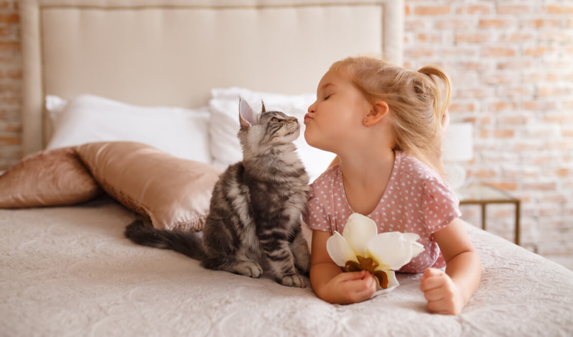 Los gatos eligen a sus dueños. Gato con niña