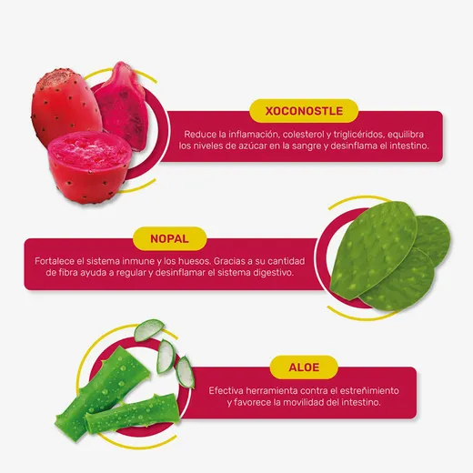 inova - Xock® Polvo para preparar Jugo Detox