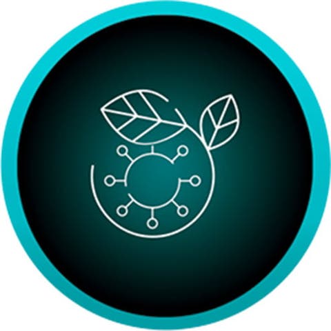 inova | constelacion-1-2x