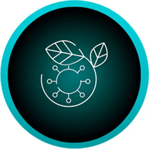 inova - constelacion-1-2x