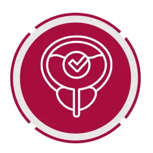inova - icon1