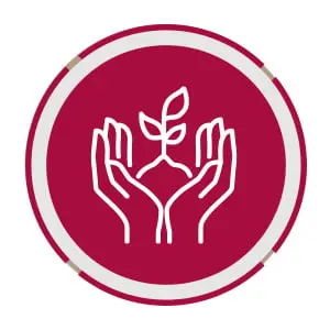 inova - icon4